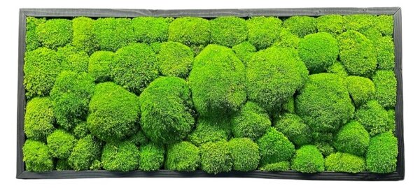 Machový obraz - Kopčekový mach Druh rámu: 90x30cm