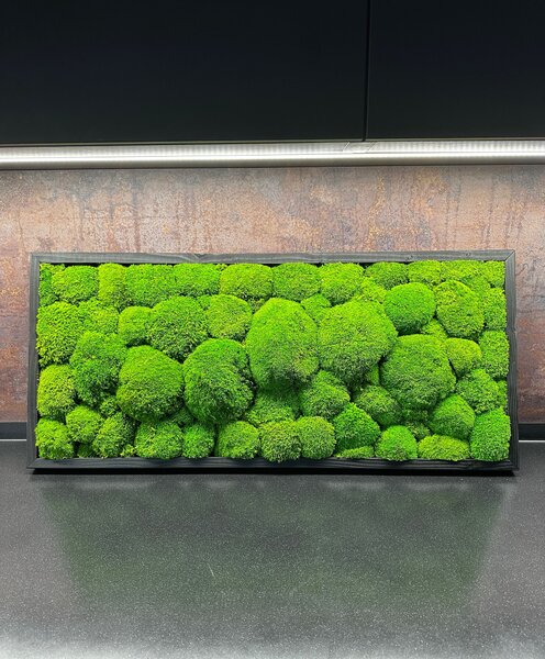 Machový obraz - Kopčekový mach Druh rámu: 90x30cm