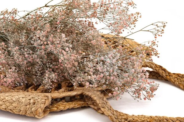 Stabilizované kvety Gypsophila - staroružová