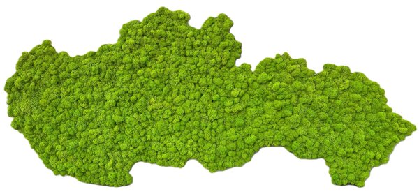 Machový obraz - mapa Slovenska Veľkosť: 135 x 67cm