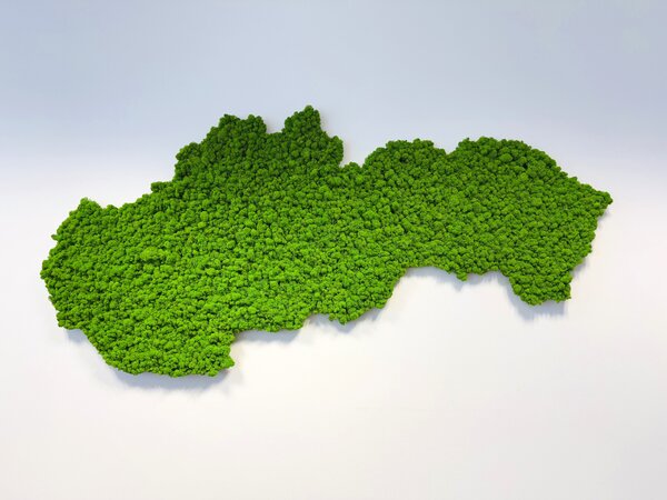 Machový obraz - mapa Slovenska Veľkosť: 135 x 67cm