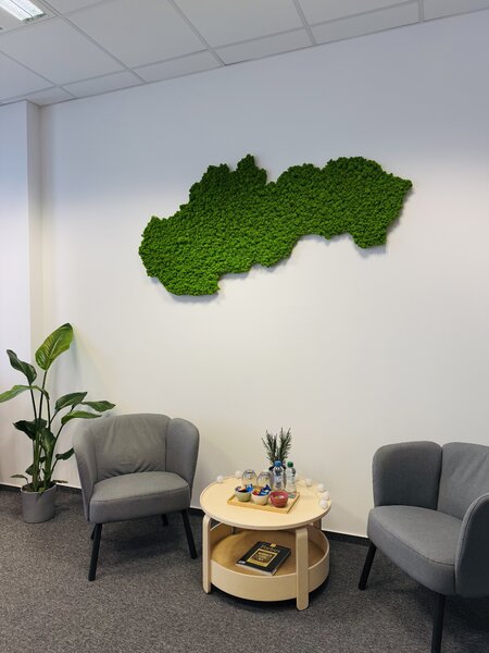 Machový obraz - mapa Slovenska Veľkosť: 135 x 67cm