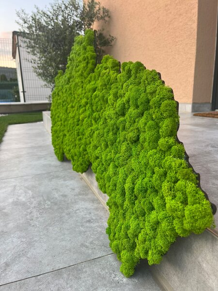 Machový obraz - mapa Slovenska Veľkosť: 135 x 67cm