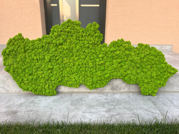 Machový obraz - mapa Slovenska Veľkosť: 135 x 67cm
