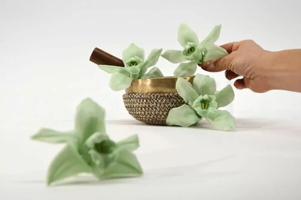Stabilizované kvety Orchidea Cymbidium - zelená