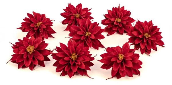 Stabilizované kvety Dahlia - červená