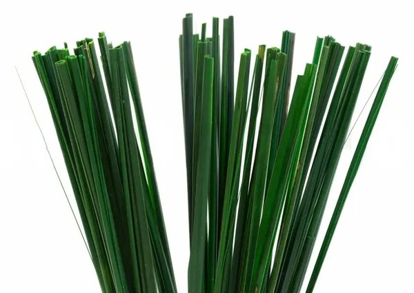 Stabilizovaná pampová tráva krátka - zelená