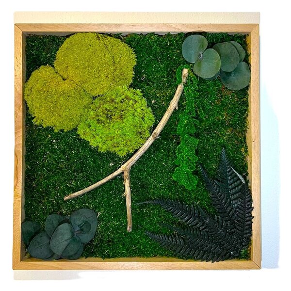 Machový obraz s rastlinami 3D - štvorec Veľkosť: 60x60cm