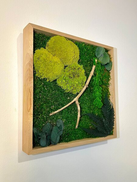 Machový obraz s rastlinami 3D - štvorec Veľkosť: 60x60cm