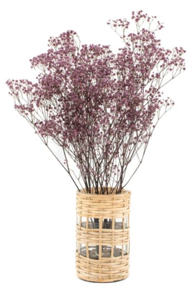 Stabilizované kvety Gypsophila - fialová