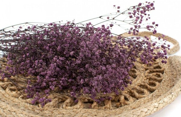 Stabilizované kvety Gypsophila - fialová