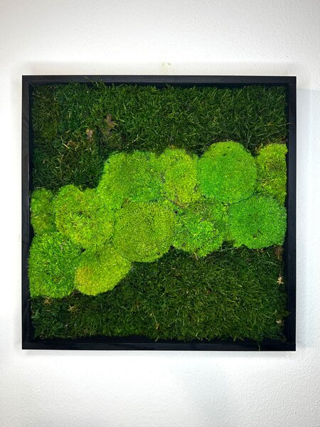 Machové obrazy TRIO Q Veľkosť: 20x20cm