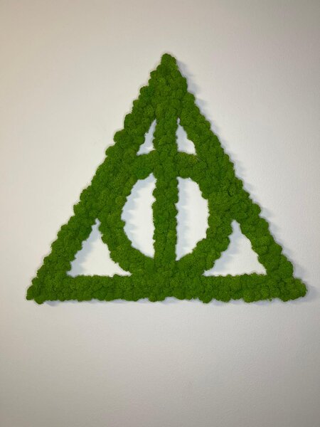 Machový obraz - Harry Potter Veľkosť rámu: 33x29cm