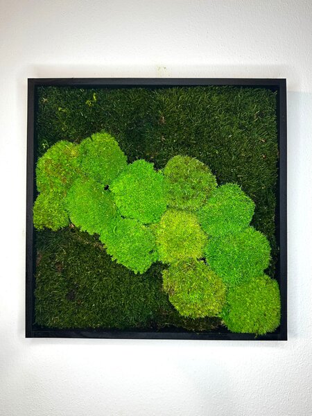 Machové obrazy TRIO Q Veľkosť: 20x20cm