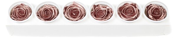 Stabilizovaná ruža – Rose Gold