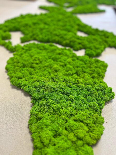 Machový obraz - mapa Slovenska Veľkosť: 300x169cm