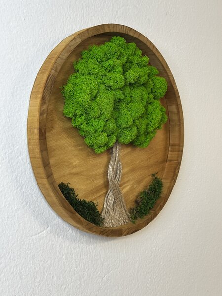 Machový obraz - živý kruh Veľkosť rámu: 30cm