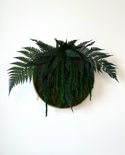 Machový kruh - Lola Veľkosť rámu: 40cm