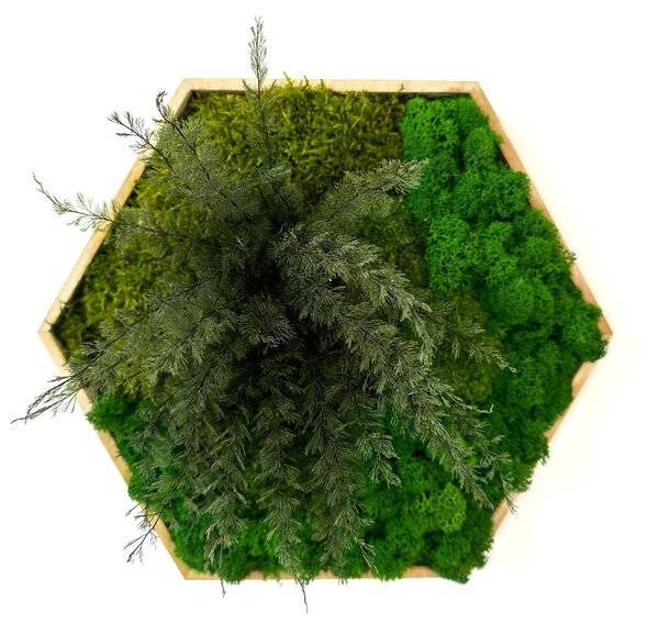 Hexagon Lisa Veľkosť rámu: 21cm - v najširšom bode