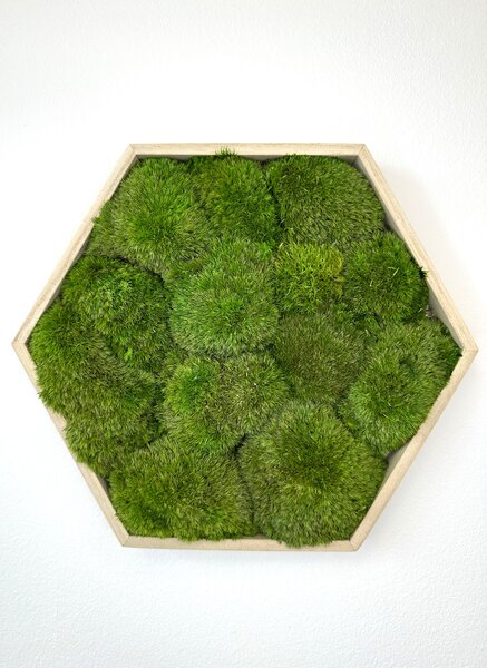 Hexagon Jery Veľkosť rámu: 21cm - v najširšom bode