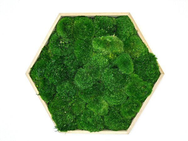 Hexagon Jery Veľkosť rámu: 21cm - v najširšom bode