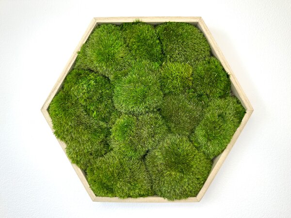 Hexagon Jery Veľkosť rámu: 21cm - v najširšom bode