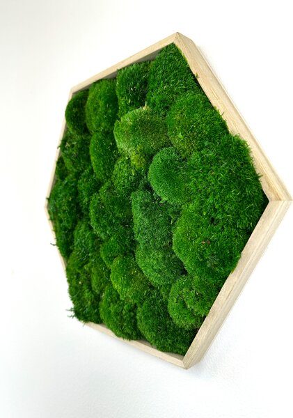 Hexagon Jery Veľkosť rámu: 21cm - v najširšom bode