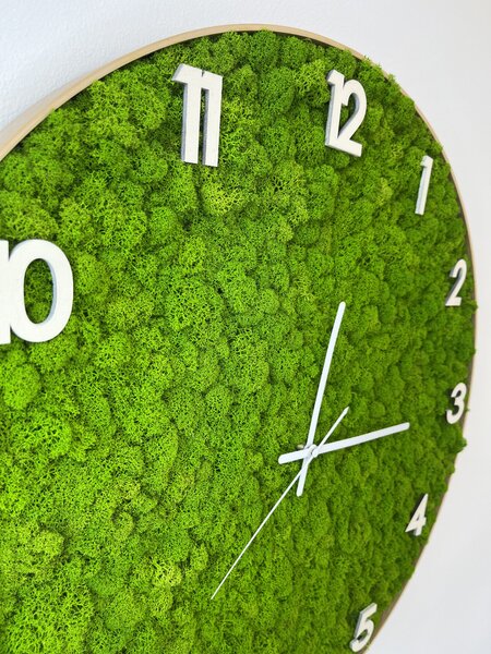 Machové hodiny – lišš Veľkosť rámu: 40cm
