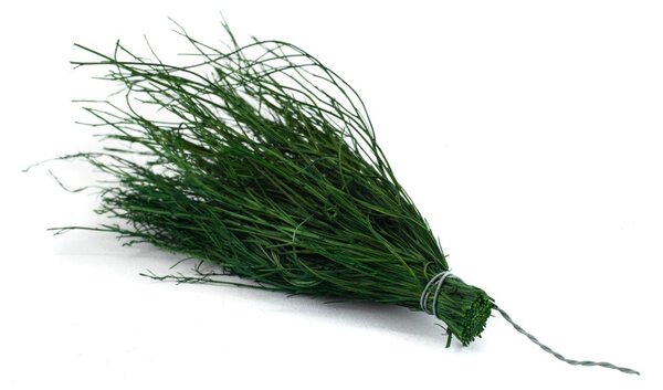 Stabilizovaný asparagus Posy