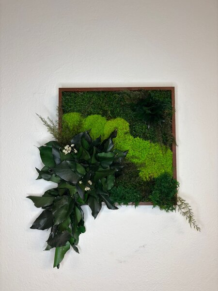 Machový obraz mini s rastlinami Veľkosť: 20x20cm