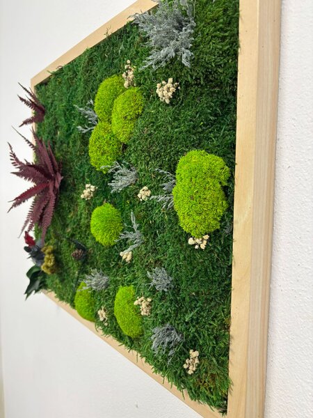 Machový obraz - Paradise II Veľkosť rámu: 40x30cm