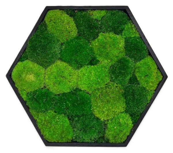 Hexagon Jery Veľkosť rámu: 21cm - v najširšom bode