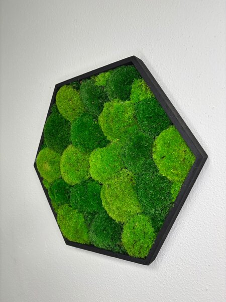 Hexagon Jery Veľkosť rámu: 21cm - v najširšom bode