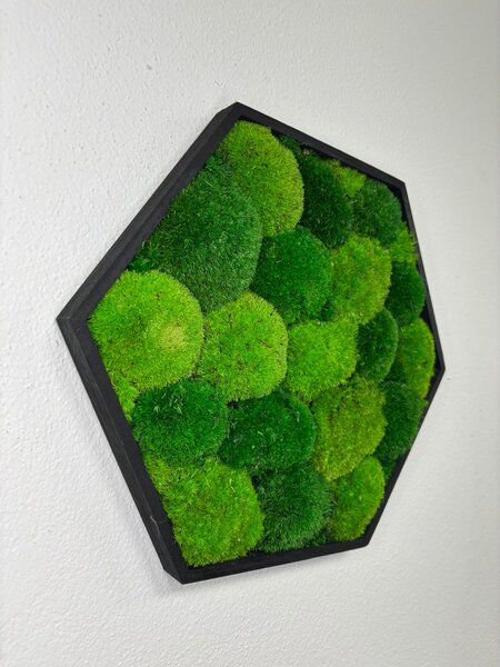 Hexagon Jery Veľkosť rámu: 21cm - v najširšom bode