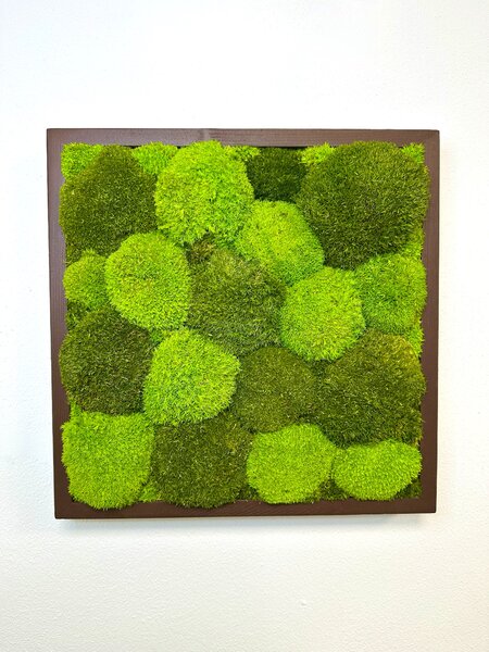 Machový obraz - kopčekový štvorec Veľkosť: 40cm x 40cm