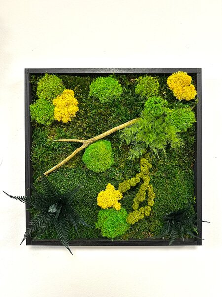 Machový obraz mini nature Veľkosť: 20x20cm