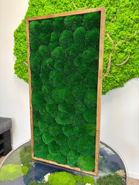 Machový obraz - Kopčekový mach apple Druh rámu: 90x30cm