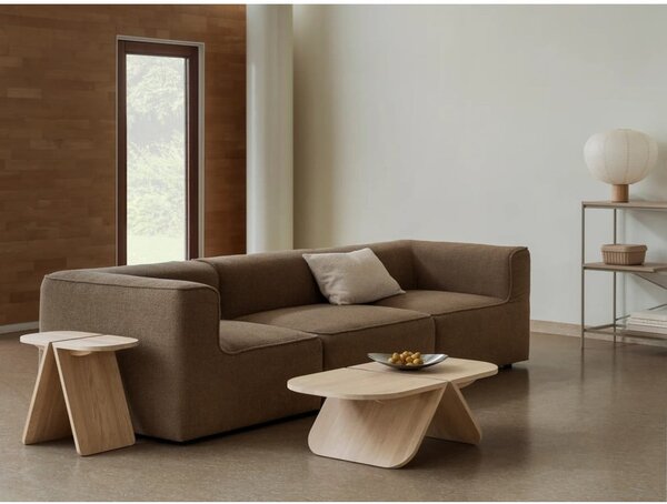 Konferenčný stolík z dubového dreva v prírodnej farbe 54x100 cm Avio – Blomus