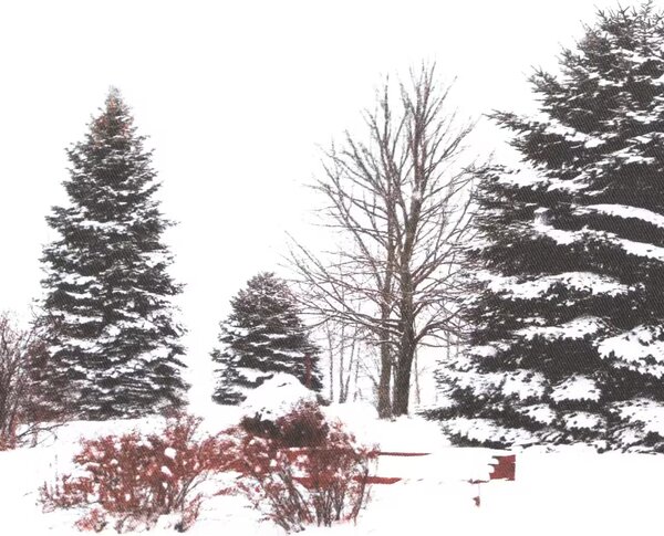Dekoračný návlek FLORA winter biela 40x60 cm