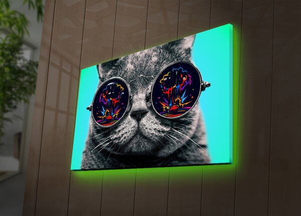 ASIR Nástenný obraz s LED osvetlením CAT