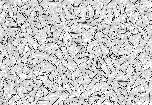 Fototapeta - Monstera listy (147x102 cm)