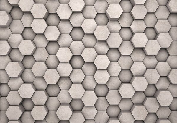 Fototapeta - Hexagóny (147x102 cm)