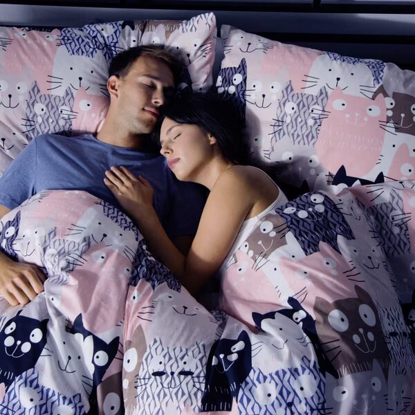 Obliečky KLASIK DESIGN multi cats bežný 1x paplón 140x200 + 1x vankúš 70x90 cm