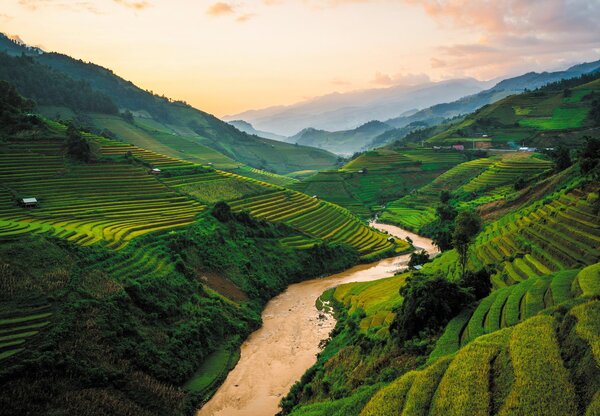 Fototapeta - Ryžové pole Mu Cang Chai (147x102 cm)