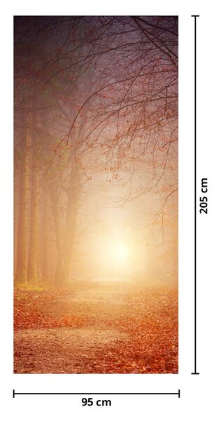 Fototapeta na dvere - Jesenný les v hmle (95x205cm)