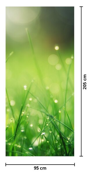 Fototapeta na dvere - Rosa na tráve (95x205cm)