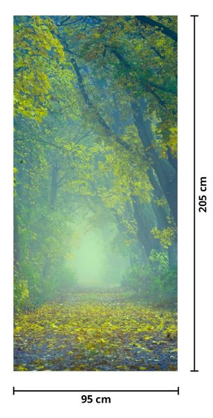 Fototapeta na dvere - Cesta lemovaná stromami (95x205cm)