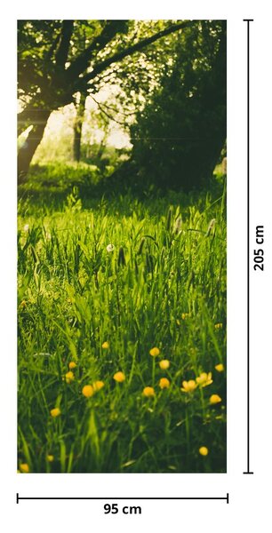 Fototapeta na dvere - Lúka (95x205cm)
