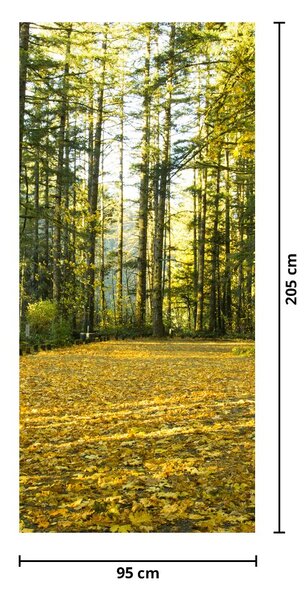 Fototapeta na dvere - Les na jeseň (95x205cm)
