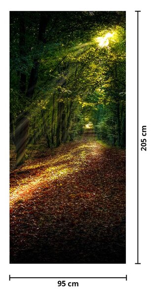 Fototapeta na dvere - Lesná cesta (95x205cm)